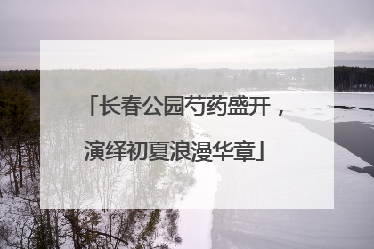 长春公园芍药盛开，演绎初夏浪漫华章