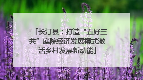 长汀县：打造“五好三共”庭院经济发展模式激活乡村发展新动能