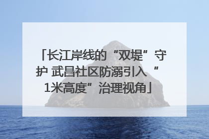 长江岸线的“双堤”守护 武昌社区防溺引入“1米高度”治理视角