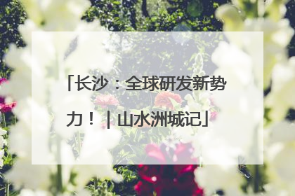 长沙：全球研发新势力！｜山水洲城记
