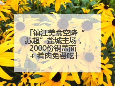 镇江美食空降“苏超”盐城主场，2000份锅盖面+ 肴肉免费吃