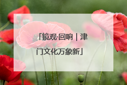 镜观·回响｜津门文化万象新