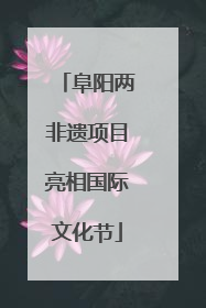 阜阳两非遗项目亮相国际文化节