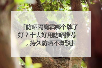 防晒隔离霜哪个牌子好？十大好用防晒推荐，持久防晒不斑驳