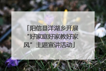 阳信县洋湖乡开展“好家庭好家教好家风”主题宣讲活动