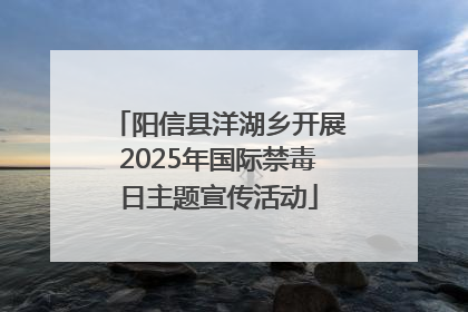 阳信县洋湖乡开展2025年国际禁毒日主题宣传活动