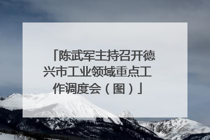 陈武军主持召开德兴市工业领域重点工作调度会（图）