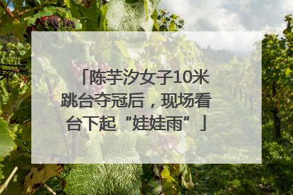 陈芋汐女子10米跳台夺冠后，现场看台下起“娃娃雨”