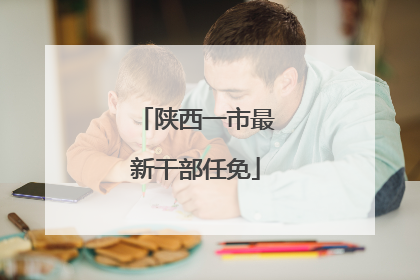 陕西一市最新干部任免