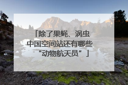 除了果蝇、涡虫 中国空间站还有哪些“动物航天员”