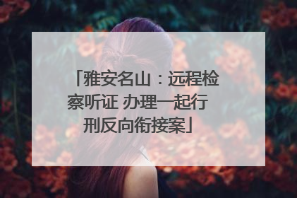 雅安名山：远程检察听证 办理一起行刑反向衔接案