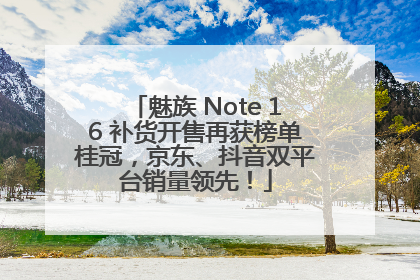 魅族 Note 16 补货开售再获榜单桂冠，京东、抖音双平台销量领先！