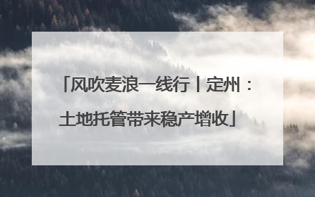 风吹麦浪一线行丨定州：土地托管带来稳产增收