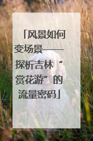 风景如何变场景——探析吉林“赏花游”的流量密码