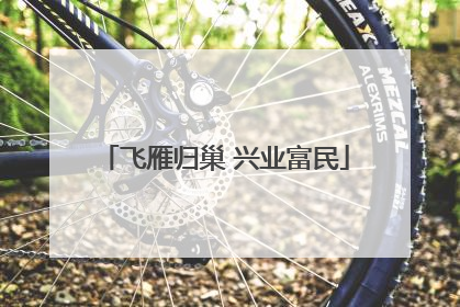 飞雁归巢 兴业富民
