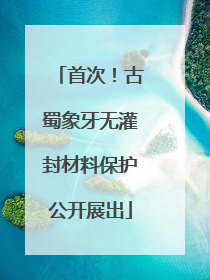 首次！古蜀象牙无灌封材料保护公开展出