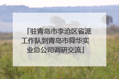 驻青岛市李沧区省派工作队到青岛市舜华实业总公司调研交流