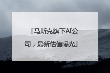 马斯克旗下AI公司，最新估值曝光