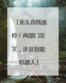 龙头直线涨停！两部门发文，涉及智能机器人