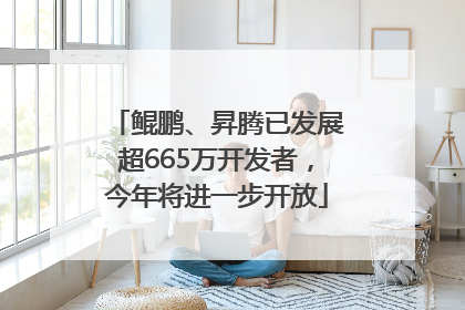 鲲鹏、昇腾已发展超665万开发者，今年将进一步开放