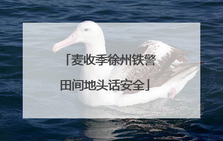 麦收季徐州铁警田间地头话安全