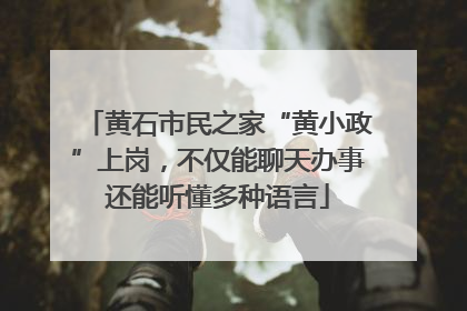 黄石市民之家“黄小政”上岗，不仅能聊天办事还能听懂多种语言