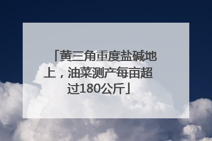 黄三角重度盐碱地上，油菜测产每亩超过180公斤