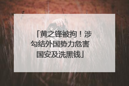 黄之锋被拘！涉勾结外国势力危害国安及洗黑钱
