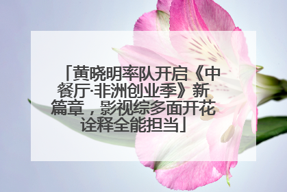 黄晓明率队开启《中餐厅·非洲创业季》新篇章，影视综多面开花诠释全能担当
