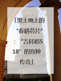 黑土地上的“春耕芯片”：“吉科稻518”的育种传奇