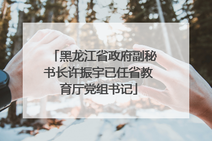 黑龙江省政府副秘书长许振宇已任省教育厅党组书记