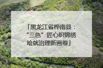 黑龙江省桦南县：“三色”匠心织锦绣 绘就治理新画卷