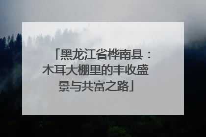 黑龙江省桦南县：木耳大棚里的丰收盛景与共富之路