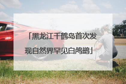黑龙江千鹤岛首次发现自然界罕见白鸬鹚