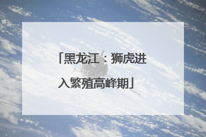 黑龙江：狮虎进入繁殖高峰期