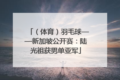 （体育）羽毛球——新加坡公开赛：陆光祖获男单亚军