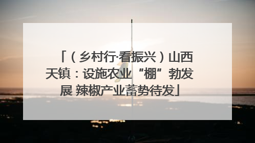 （乡村行·看振兴）山西天镇：设施农业“棚”勃发展 辣椒产业蓄势待发