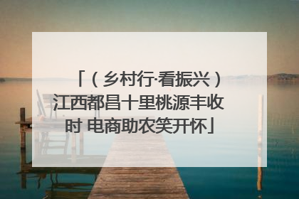 （乡村行·看振兴）江西都昌十里桃源丰收时 电商助农笑开怀