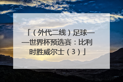 （外代二线）足球——世界杯预选赛：比利时胜威尔士（3）