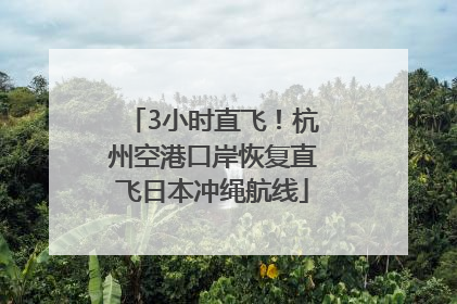 3小时直飞！杭州空港口岸恢复直飞日本冲绳航线