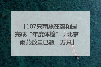 107只雨燕在颐和园完成“年度体检”，北京雨燕数量已超一万只