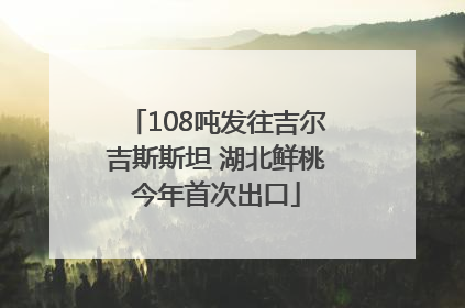 108吨发往吉尔吉斯斯坦 湖北鲜桃今年首次出口