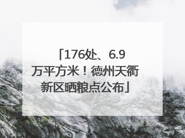 176处、6.9万平方米！德州天衢新区晒粮点公布