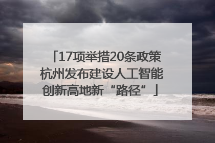 17项举措20条政策 杭州发布建设人工智能创新高地新“路径”