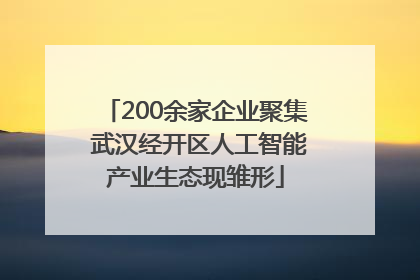 200余家企业聚集 武汉经开区人工智能产业生态现雏形