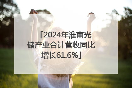 2024年淮南光储产业合计营收同比增长61.6%