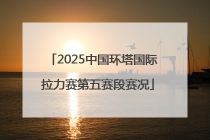 2025中国环塔国际拉力赛第五赛段赛况