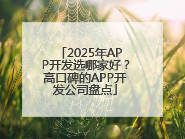 2025年APP开发选哪家好？高口碑的APP开发公司盘点