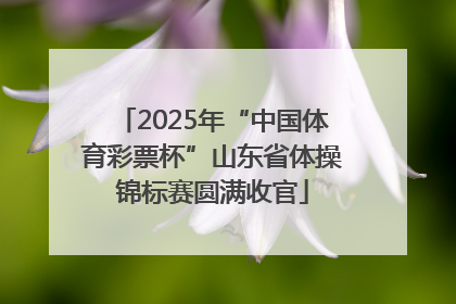 2025年“中国体育彩票杯”山东省体操锦标赛圆满收官