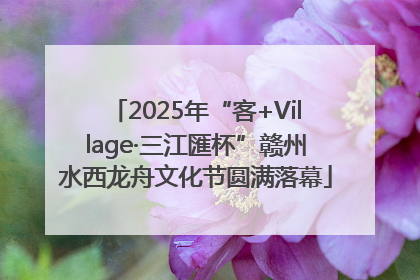 2025年“客+Village·三江匯杯”赣州水西龙舟文化节圆满落幕